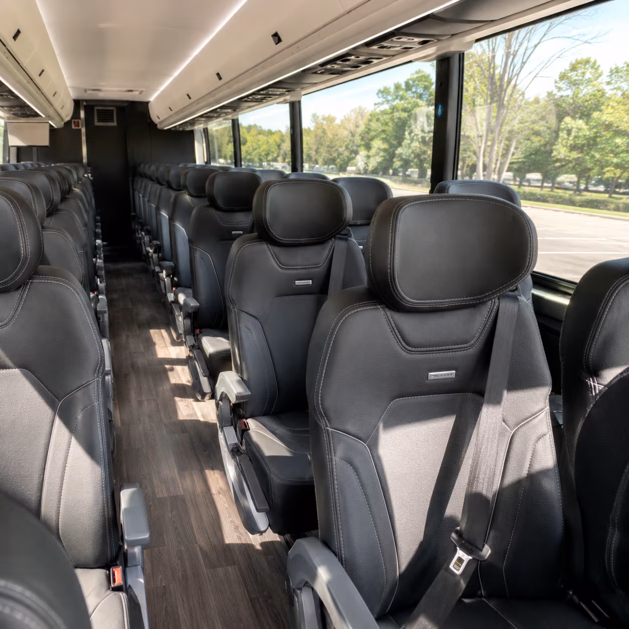 Jackson Airport Shuttles & Transportation